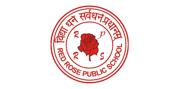 red rose
